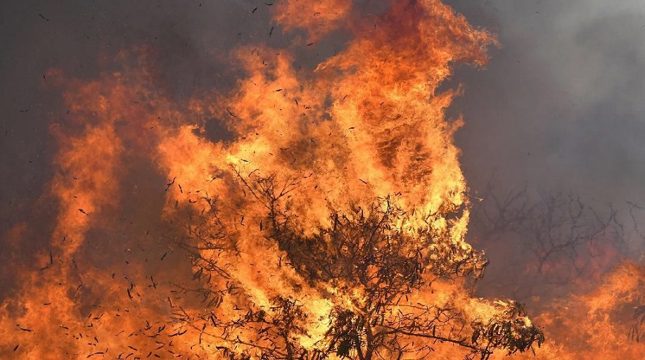 Maui Wildfires